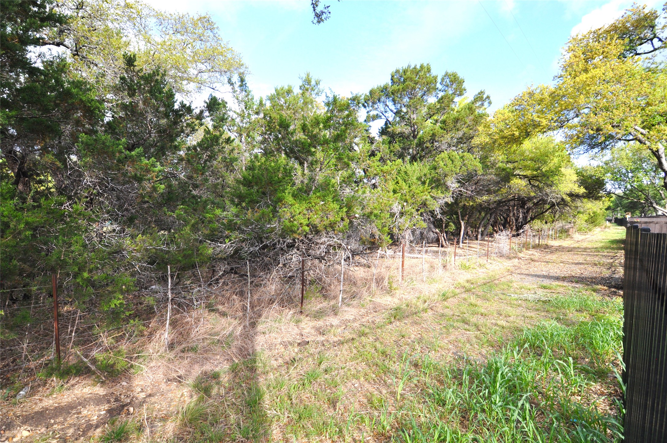 1537 Chapel Ranch Road Georgetown, TX 78628 - Photo 7 of 25 View of yard