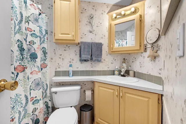a bathroom with a sink and a toilet