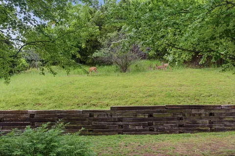 a view of a yard with wooden fence