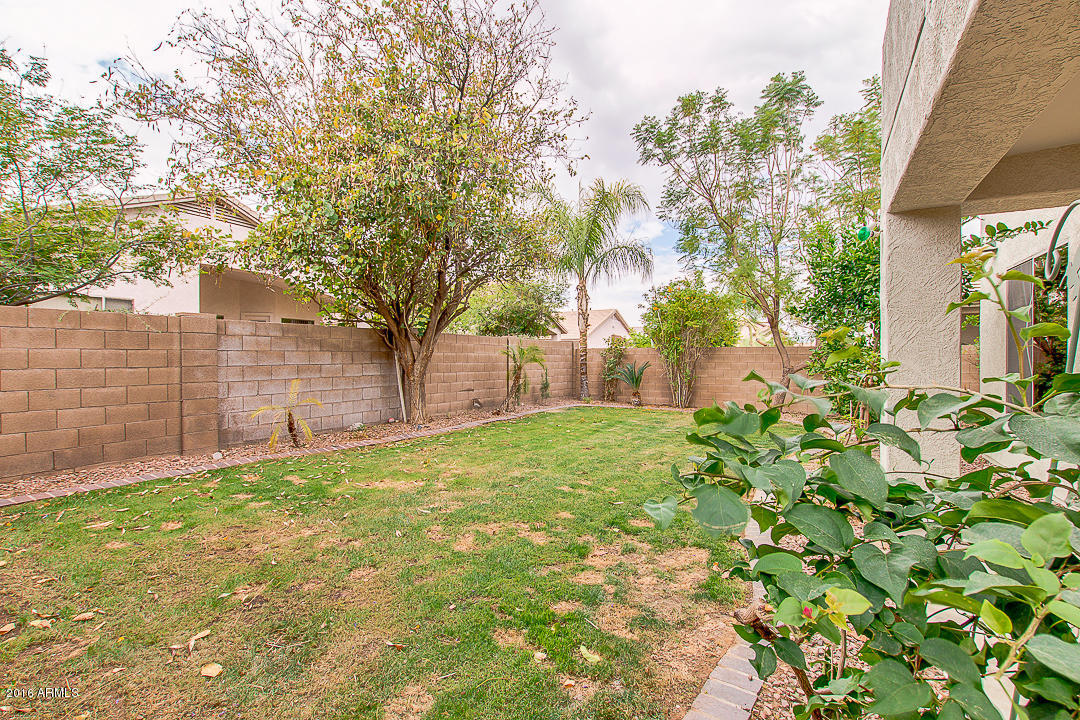 6539 West Jomax Road Phoenix, AZ 85083 - Photo 43 of 45 6539 W Jomax Lush backyard