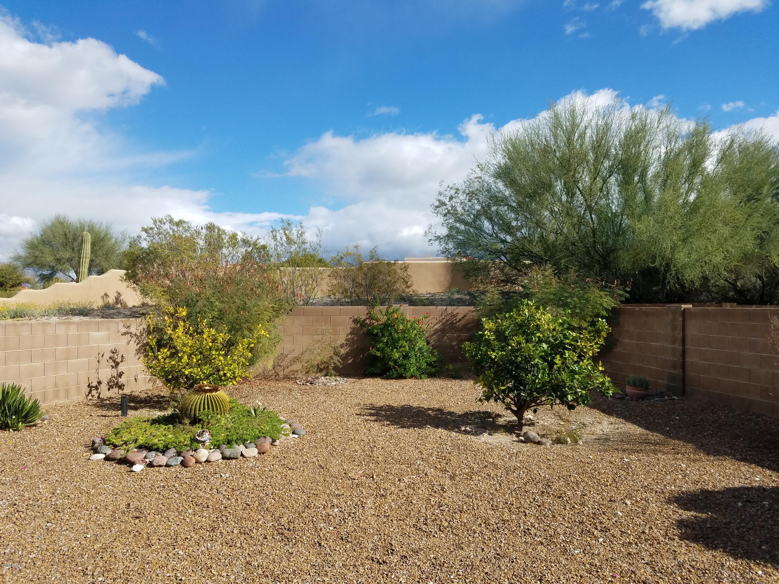 780 North Western Ridge Trail Tucson, AZ 85748 - Photo 20 of 24