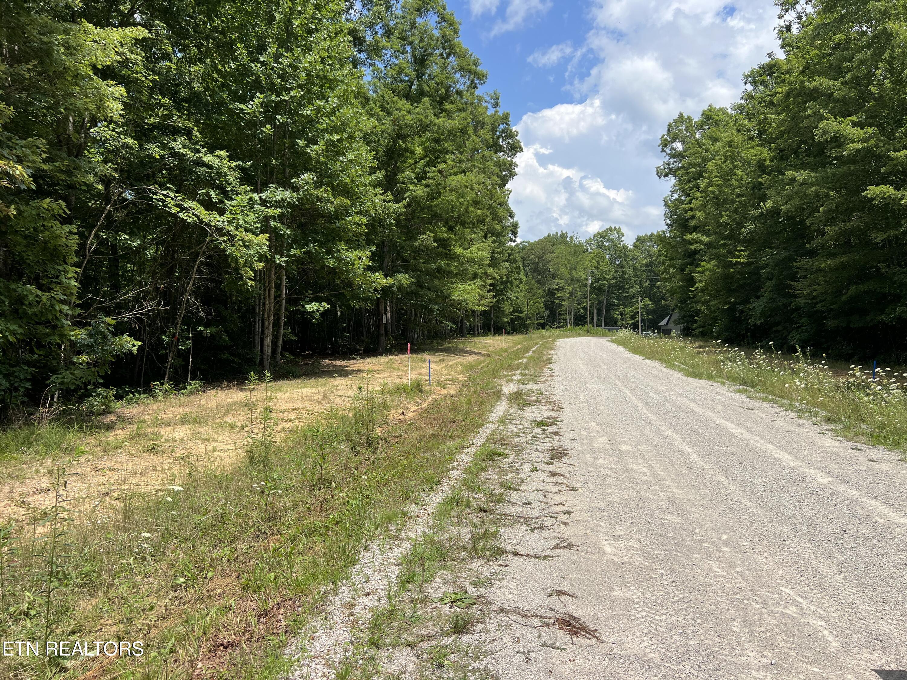Lot 216 Hargis Road Grimsley, TN 38565 - Photo 3 of 4 IMG_1708