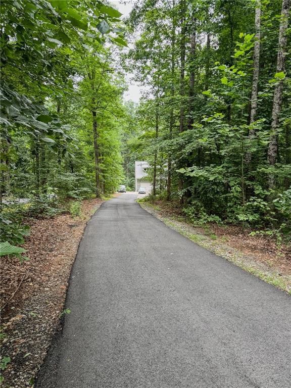 1250 Blue Ridge Overlook Dawsonville, GA 30534 - Photo 26 of 32