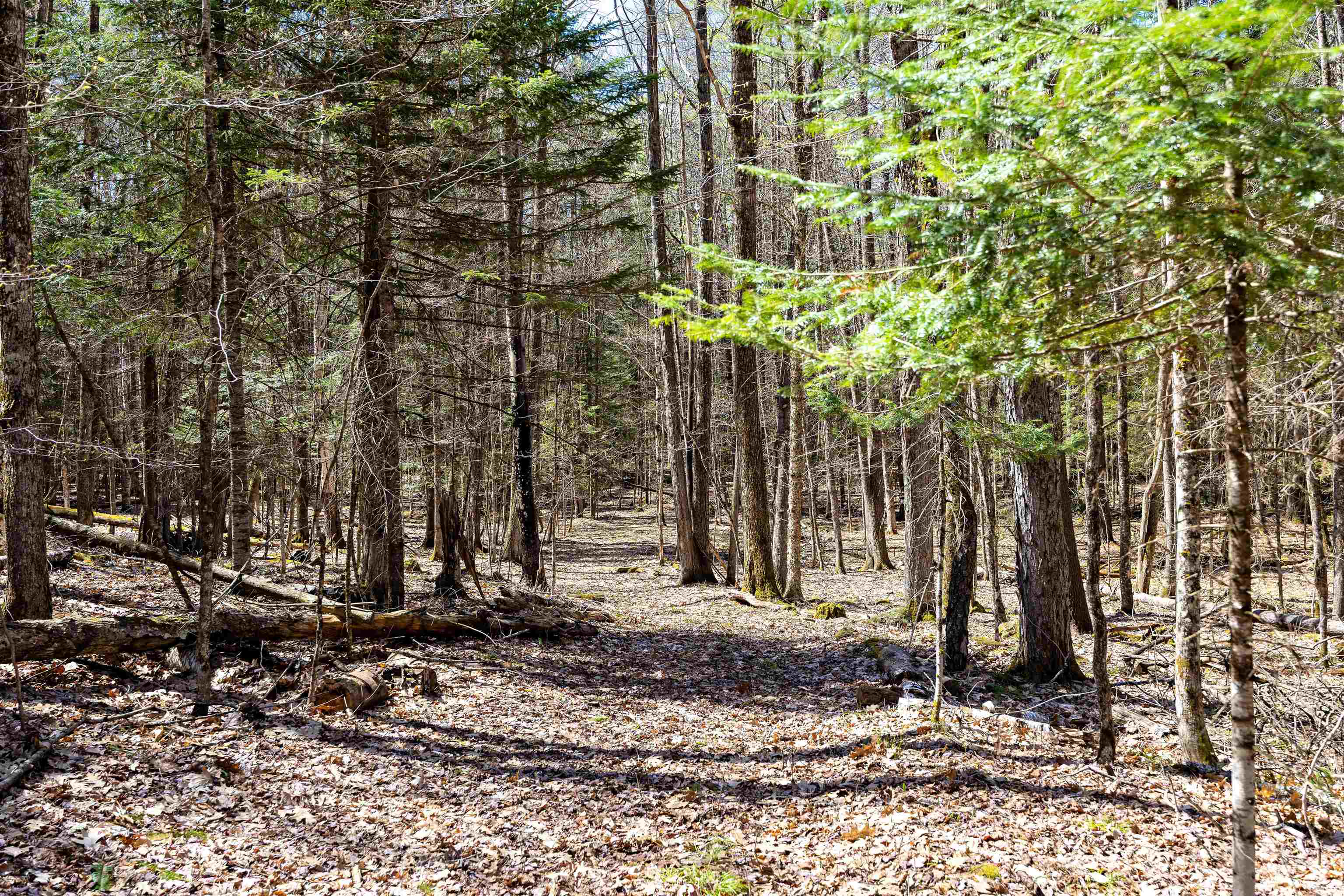 485 Copenhagen Road Waterford, VT 05819 - Photo 45 of 58