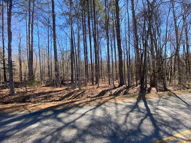 Tract B Elizabeth Street Honea Path, SC 29654 - Photo 1 of 1 Gallery Image 1