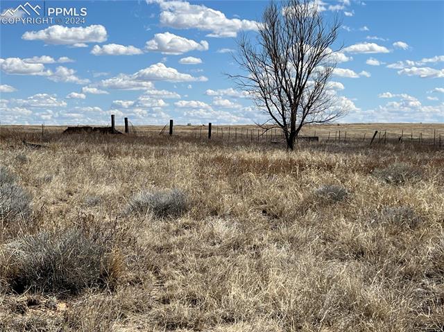 17210 Hanover Road Colorado Springs, CO 80928 - Photo 21 of 23 View of nature featuring a rural view