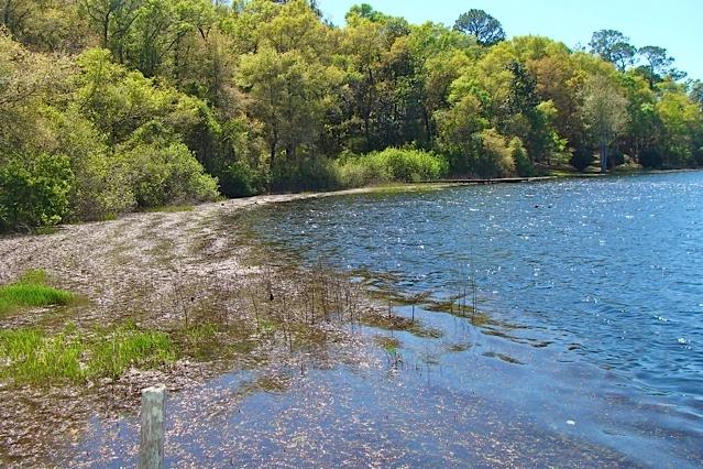 3.28-ac Holley King Road DeFuniak Springs, FL 32433 - Photo 4 of 7 76 feet of Waterfront on King Lake