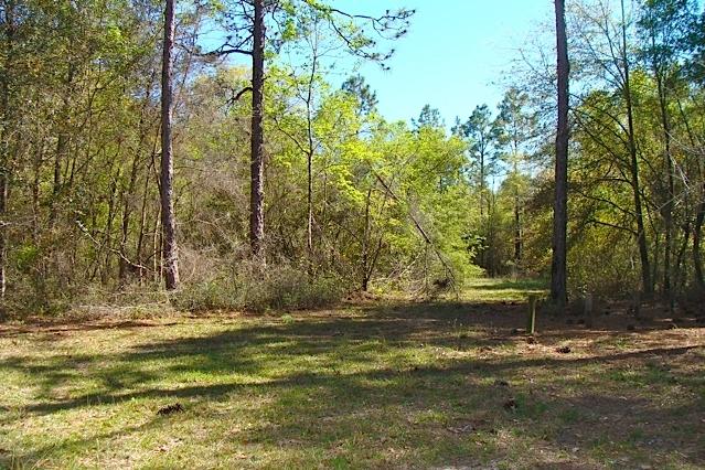 3.28-ac Holley King Road DeFuniak Springs, FL 32433 - Photo 7 of 7 3.28 Acres on Kings Lake