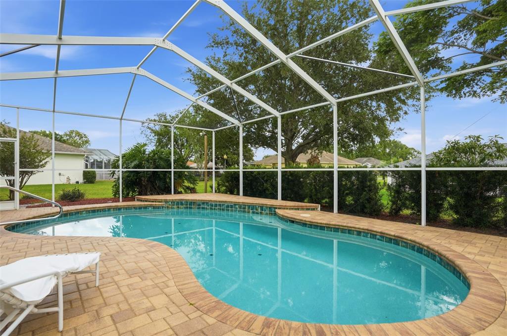 14228 Presteign Lane Spring Hill, FL 34609 - Photo 63 of 89 a view of a swimming pool with a lounge chair