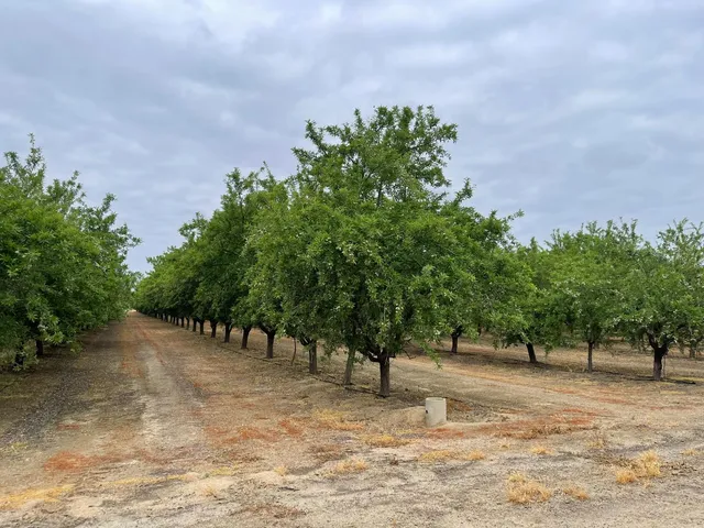 a view of outdoor space with trees