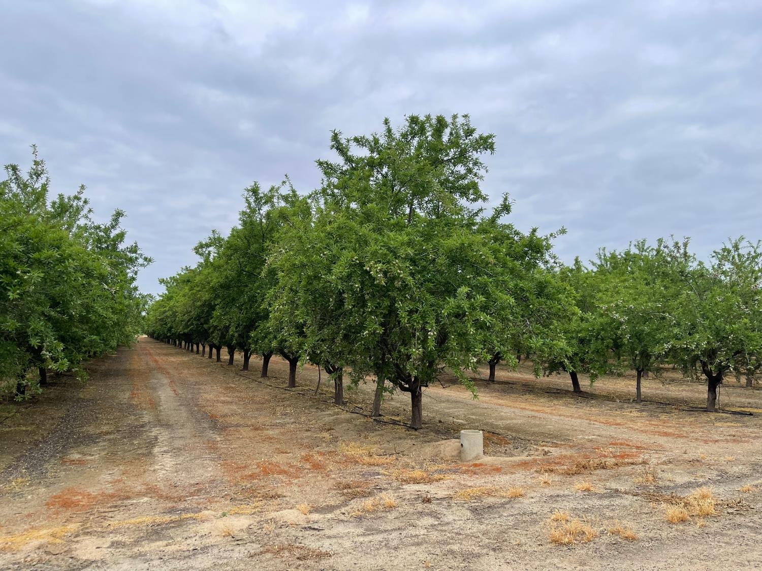 a view of outdoor space with trees