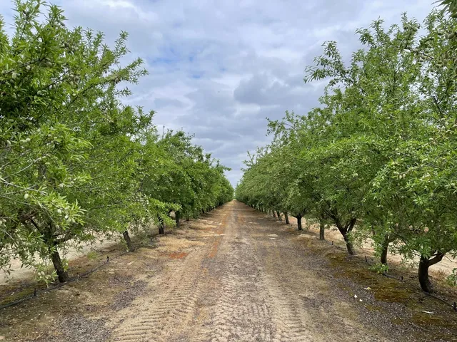 a view of an outdoor space with yard