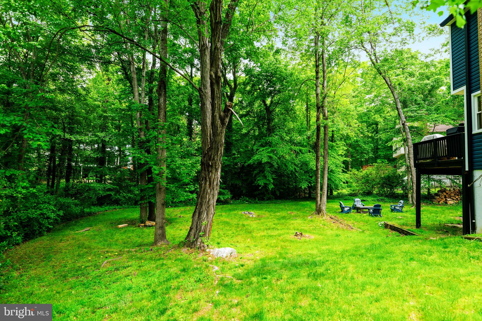 7603 Modisto Lane Springfield, VA 22153 - Photo 55 of 57 a view of an trees with a backyard