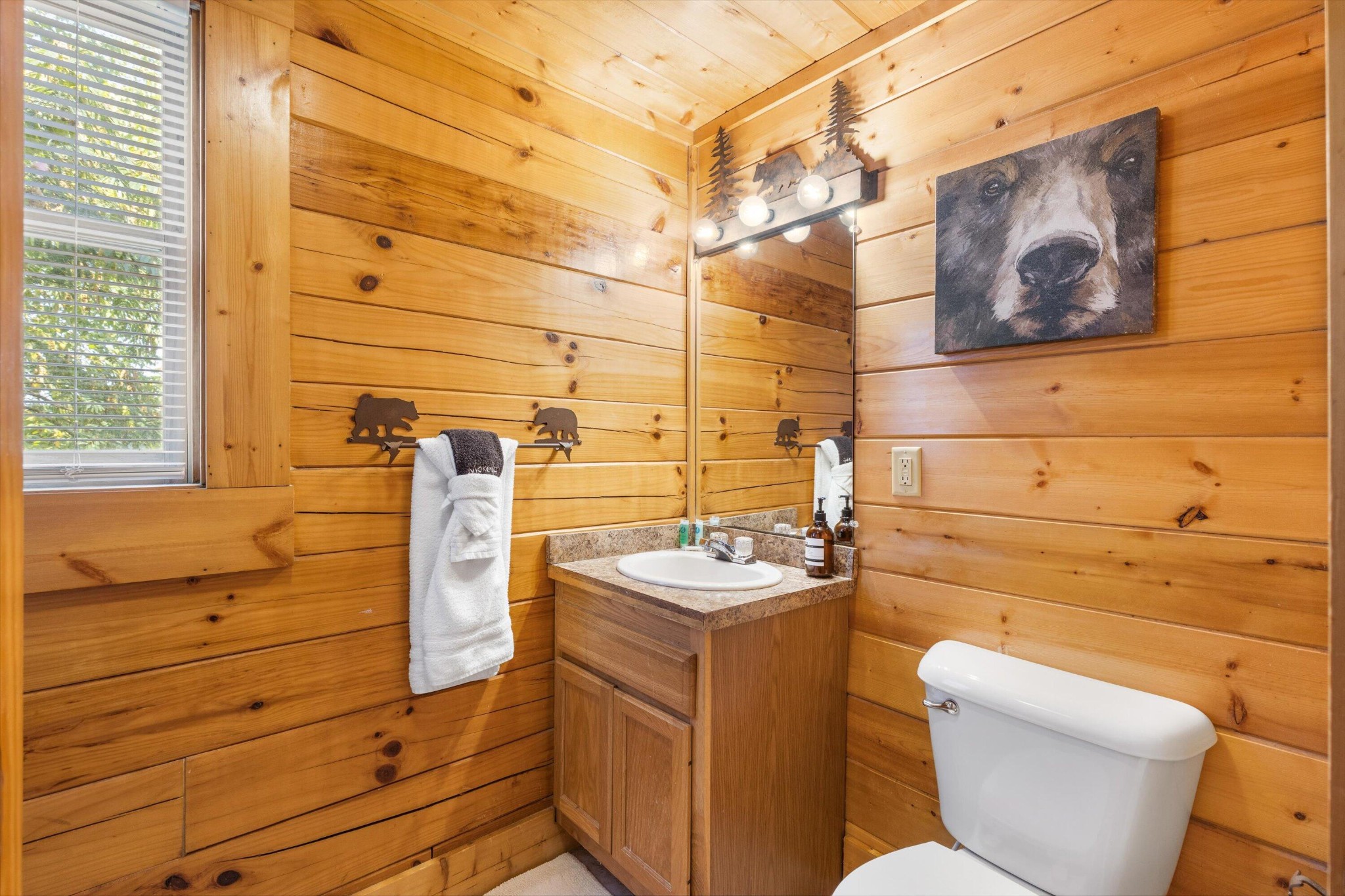 238 Moose Ridge Way Pigeon Forge, TN 37863 - Photo 24 of 32 Gallery Image 24