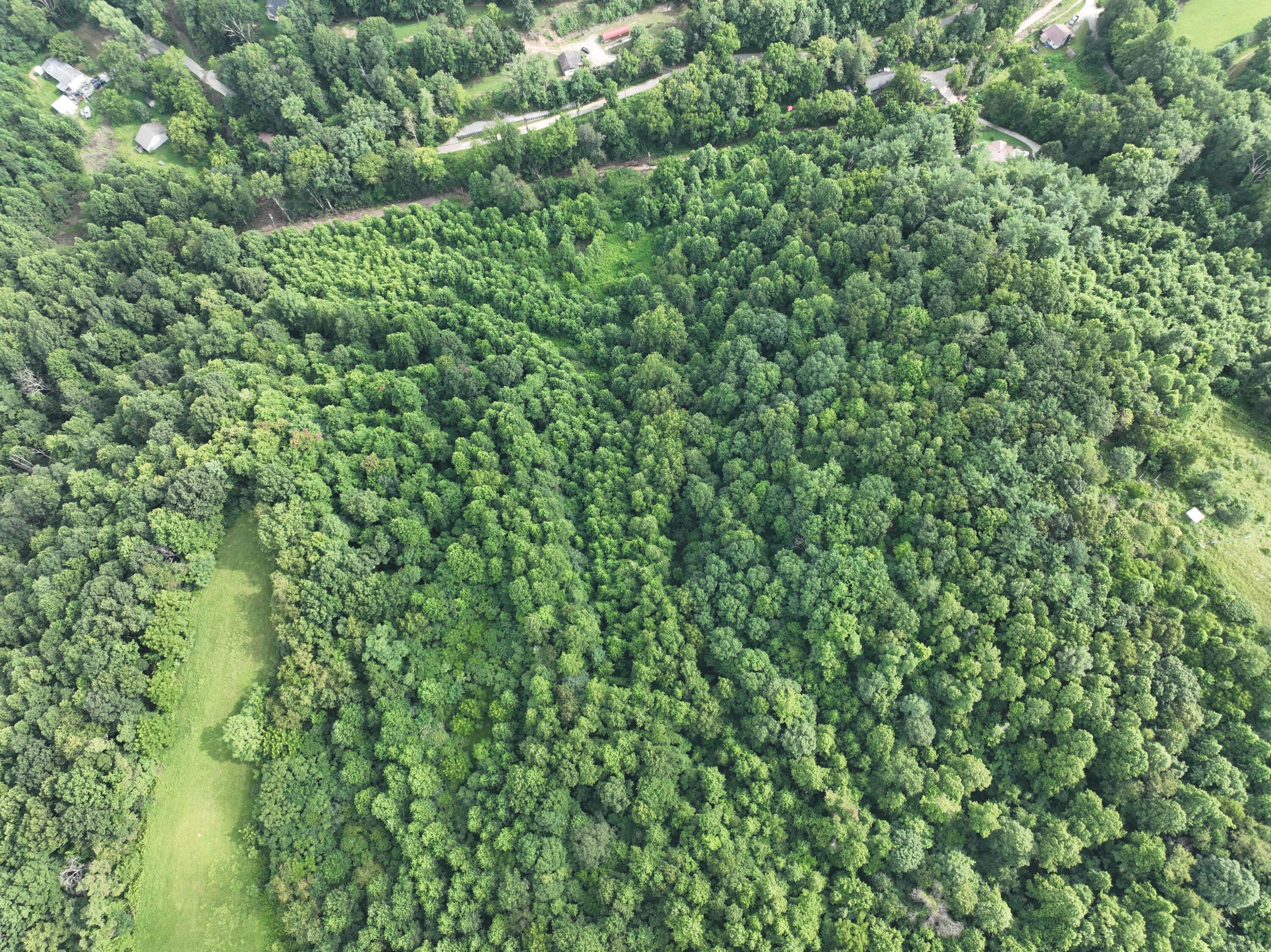 9998 Hurst School Road McKee, KY 40447 - Photo 11 of 15 DJI_0525