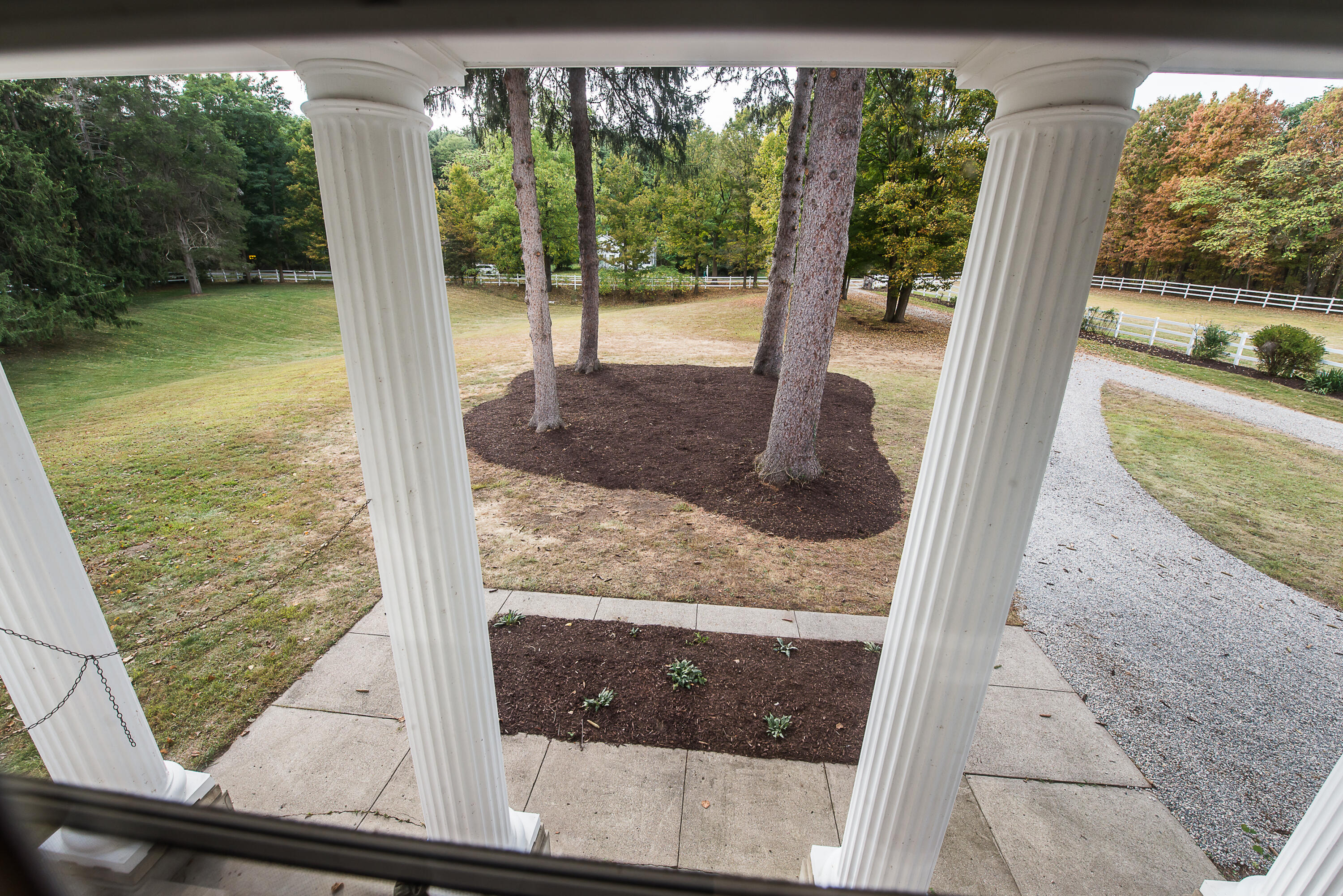 8044 Dexter-Pinckney Road Dexter, MI 48130 - Photo 23 of 67 DSC_2429