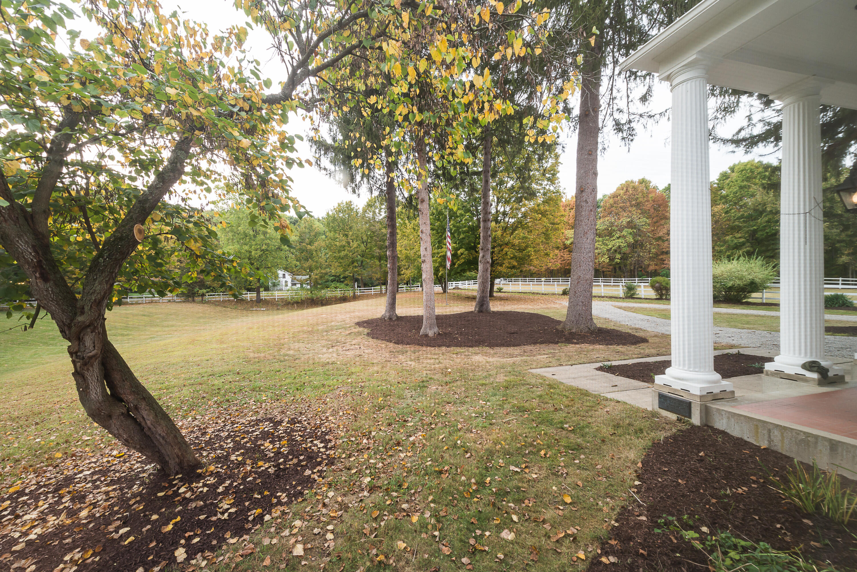 8044 Dexter-Pinckney Road Dexter, MI 48130 - Photo 46 of 67 DSC_2310