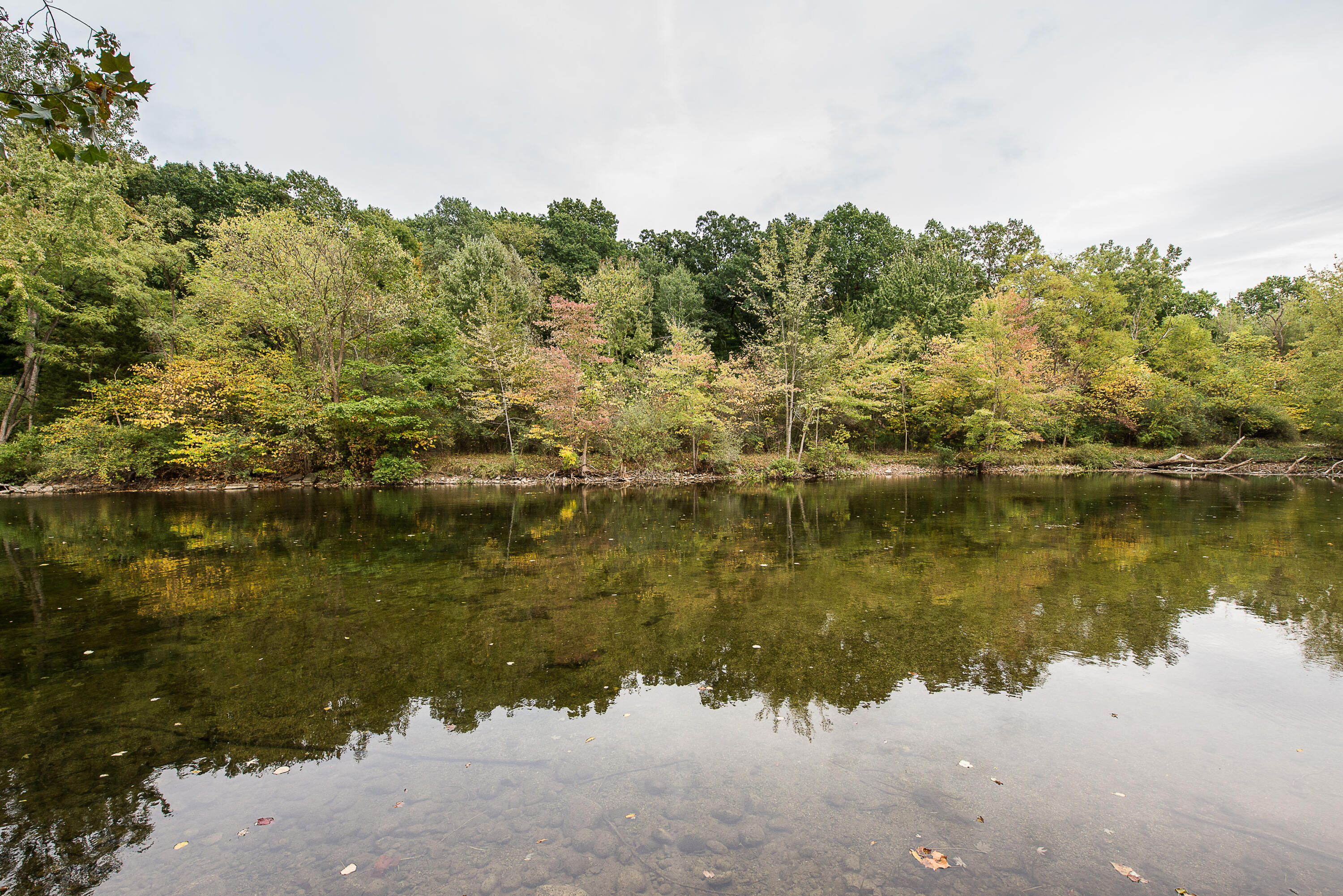 8044 Dexter-Pinckney Road Dexter, MI 48130 - Photo 47 of 67 DSC_2160
