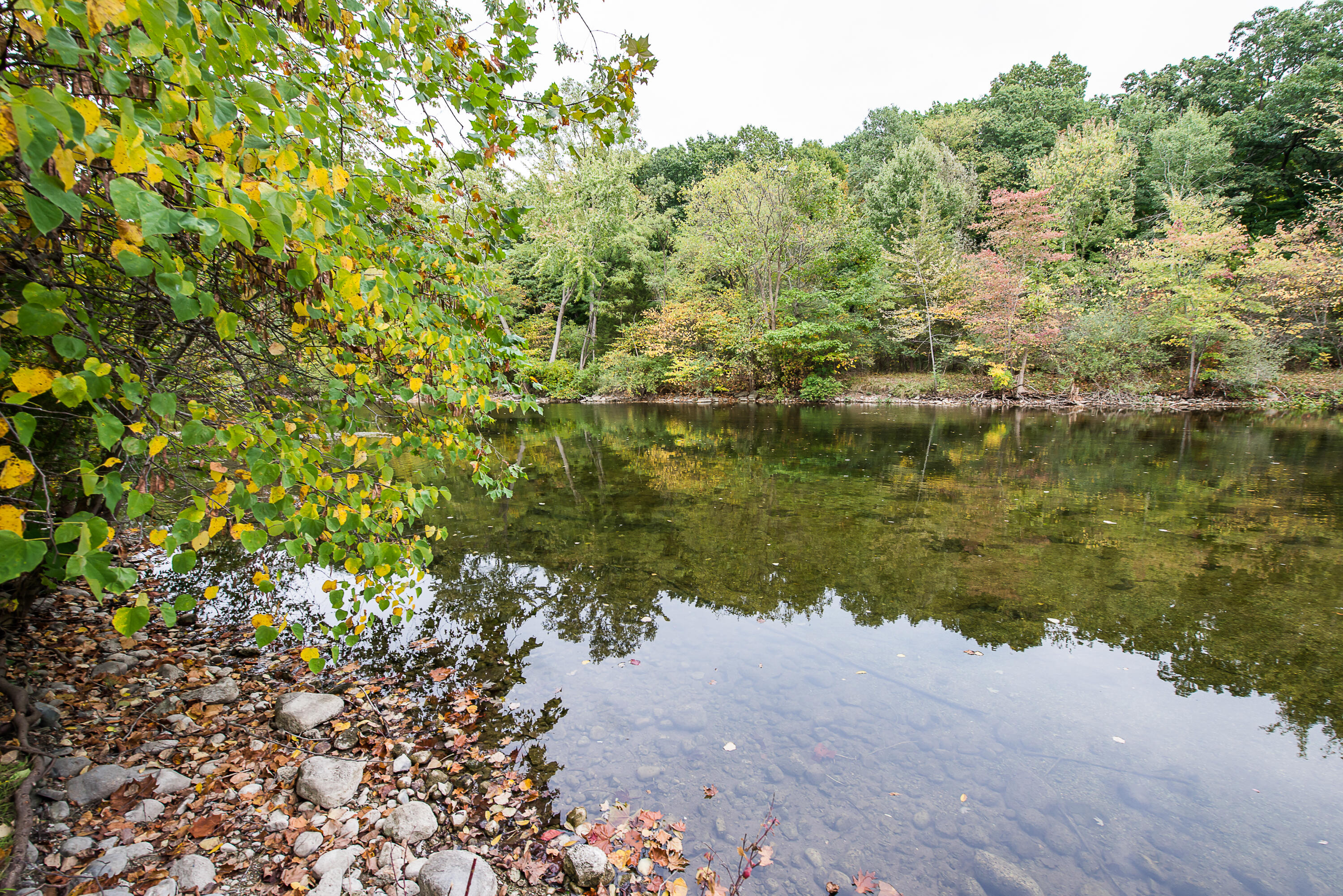 8044 Dexter-Pinckney Road Dexter, MI 48130 - Photo 48 of 67 DSC_2155