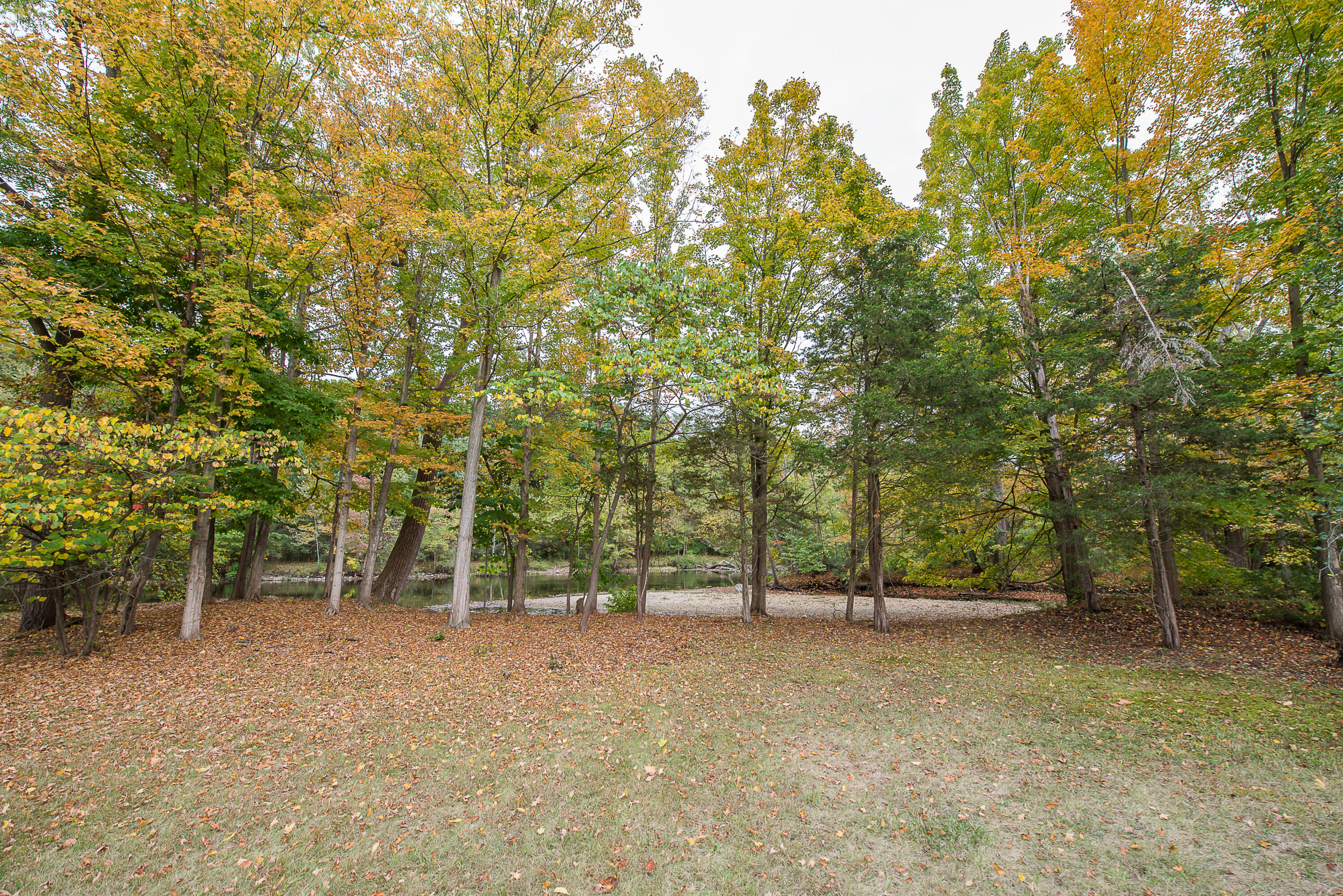 8044 Dexter-Pinckney Road Dexter, MI 48130 - Photo 50 of 67 DSC_2145