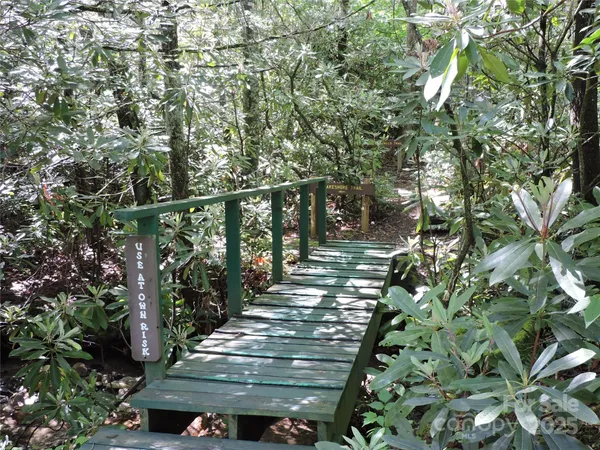 a view of a forest with trees