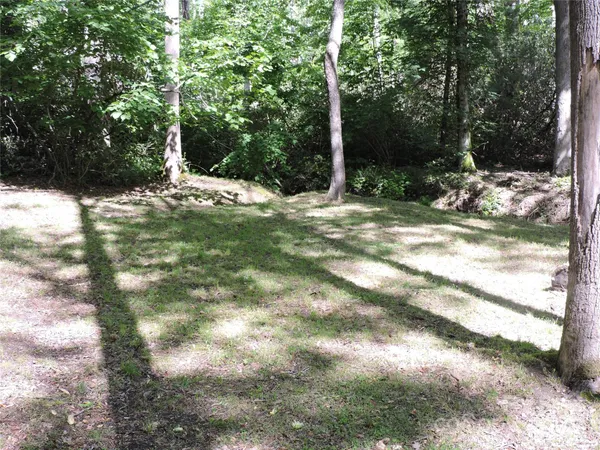 a view of a tree with a yard