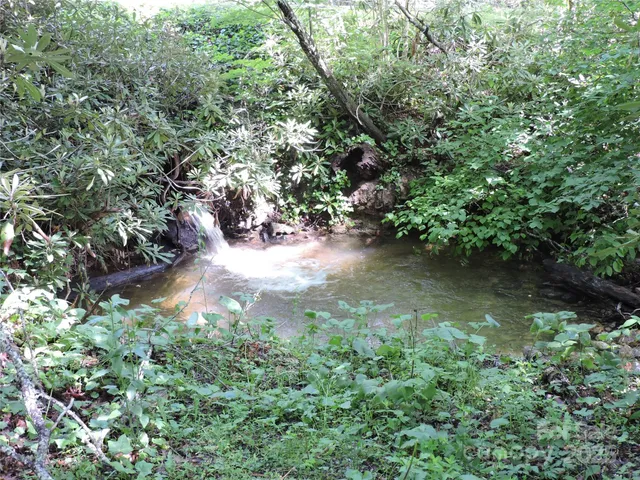 a backyard of a house with a tree