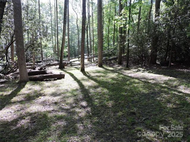 a view of path along with trees