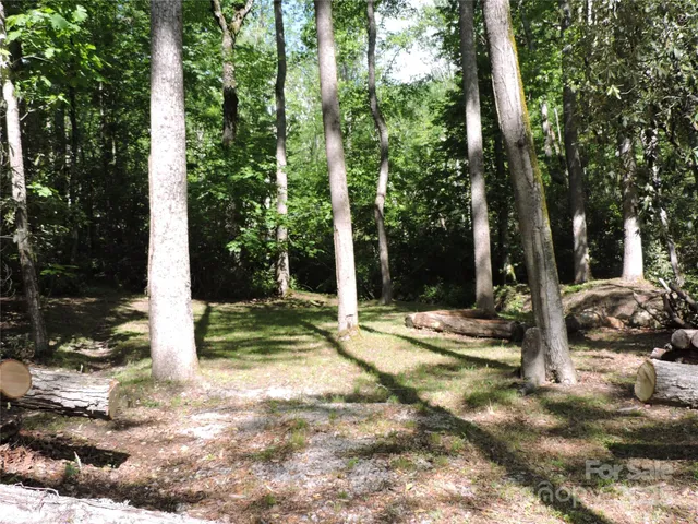 a view of a yard with trees
