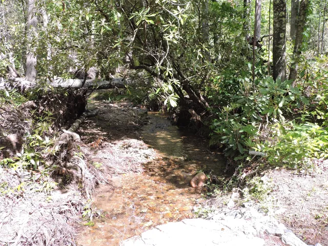 $68,900 | 0 Swiss Pine Lake Drive, Spruce Pine, NC 28777