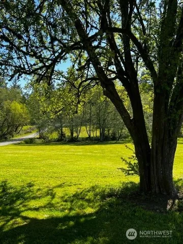 a view of a yard with an outdoor space