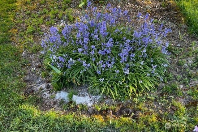 135 Walker Road Northwest Poulsbo, WA 98370 - Photo 18 of 24 a view of a garden with plants and flowers