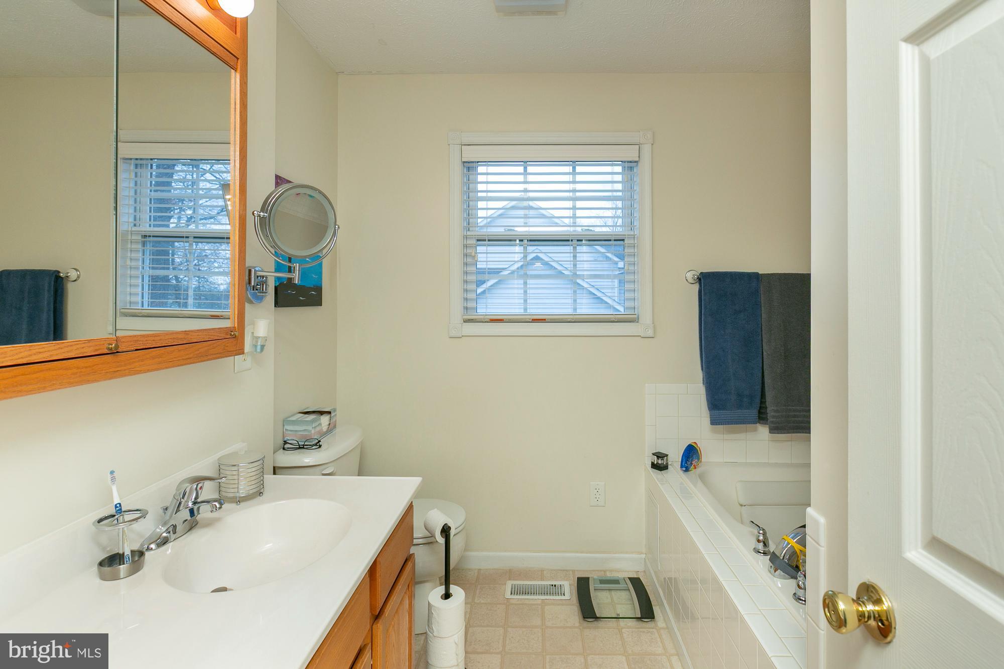 169 Lure Court Inwood, WV 25428 - Photo 47 of 84 primary bath