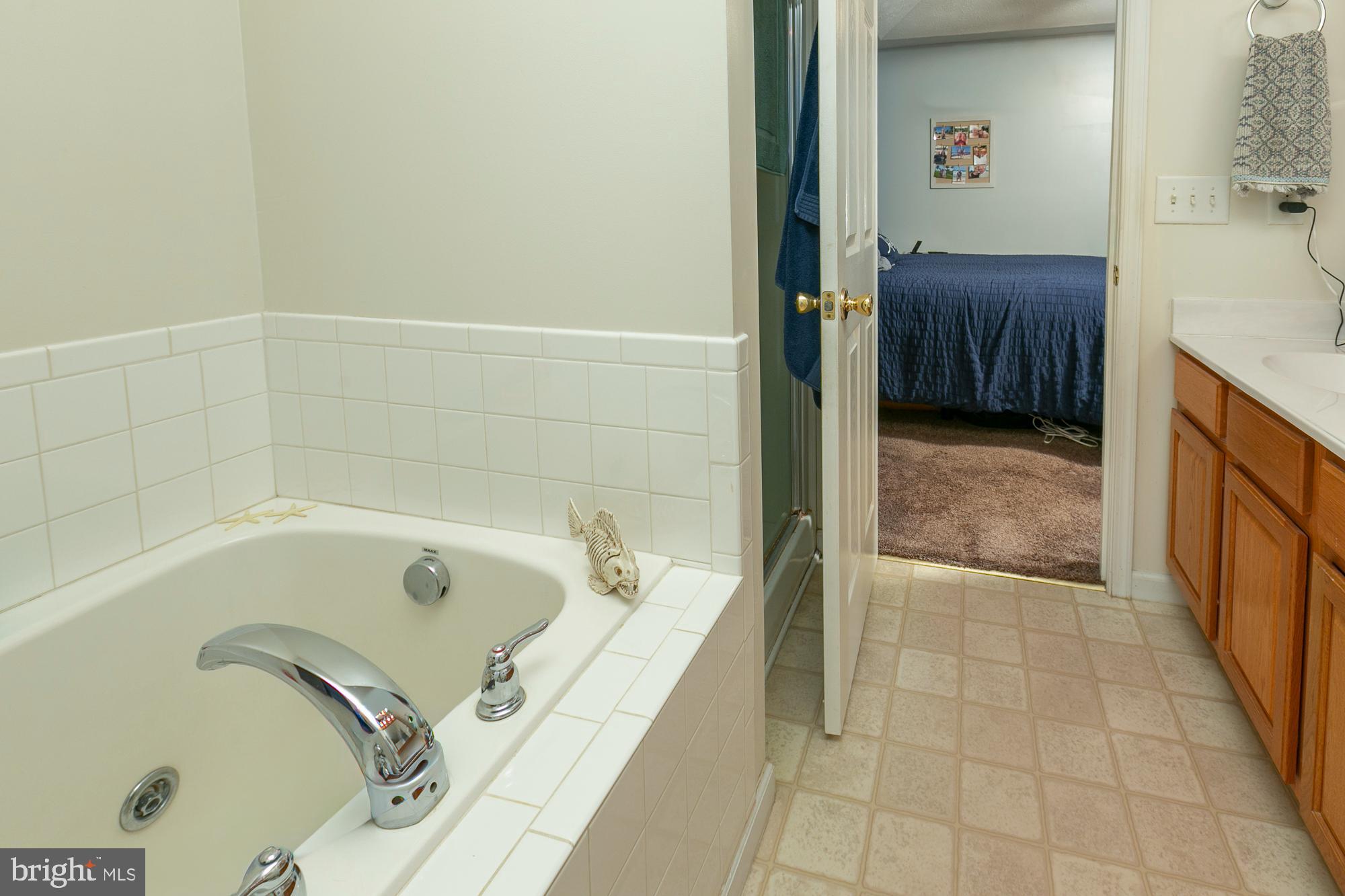 169 Lure Court Inwood, WV 25428 - Photo 49 of 84 primary bath