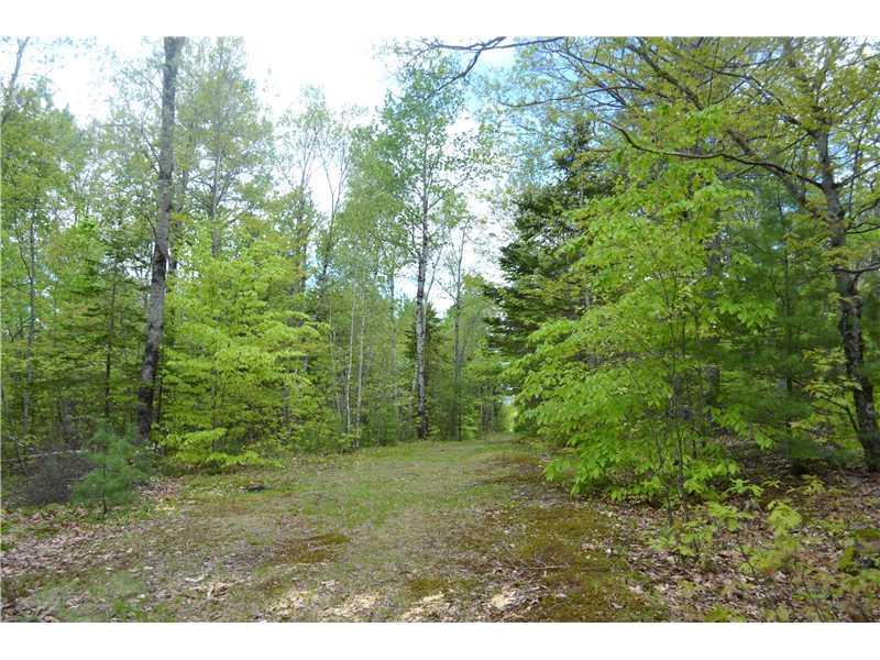 560 North Dixmont Road Troy, ME 04987 - Photo 5 of 17 Land. Trail for riding, walking or...