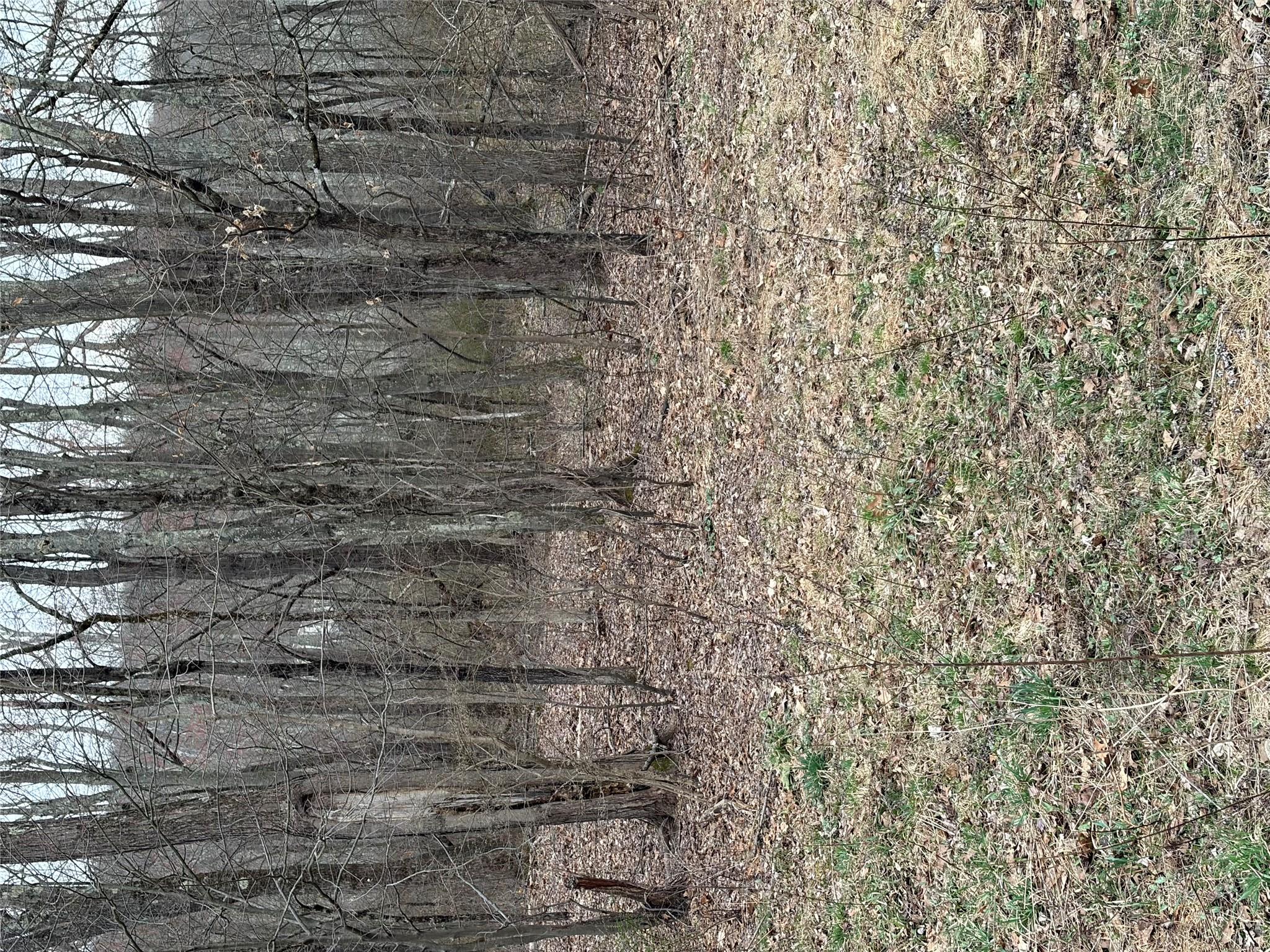 Wells Road Newburgh, NY 12550 - Photo 17 of 37