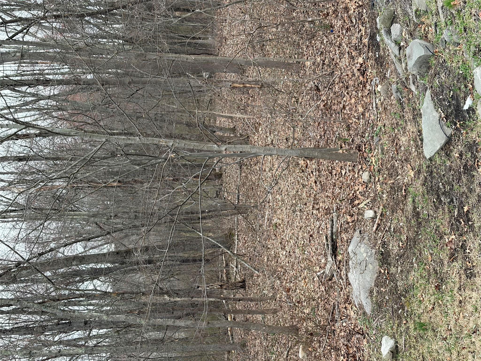 Wells Road Newburgh, NY 12550 - Photo 26 of 37