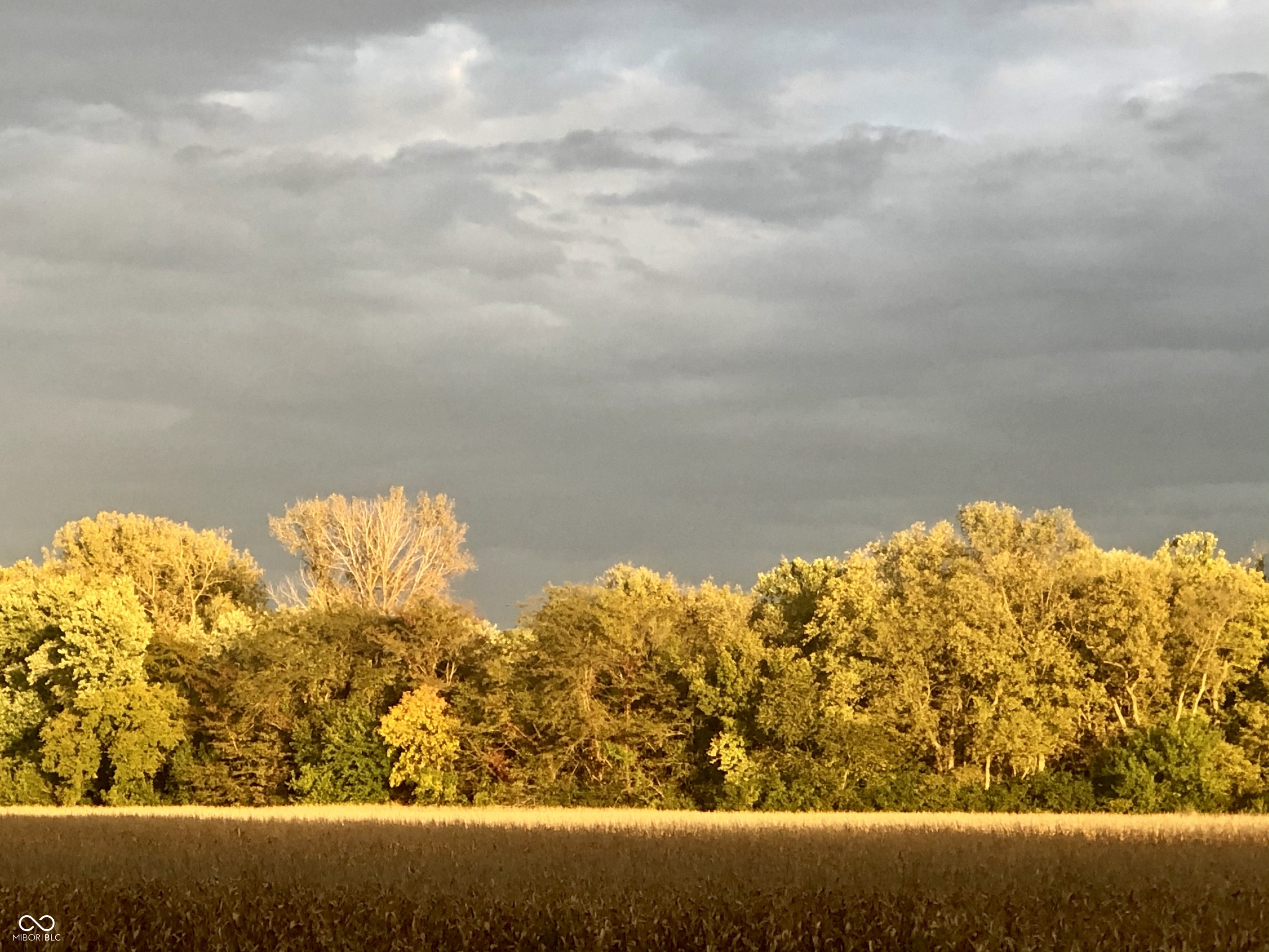 3372 Trestle Drive Columbus, IN 47203 - Photo 28 of 35