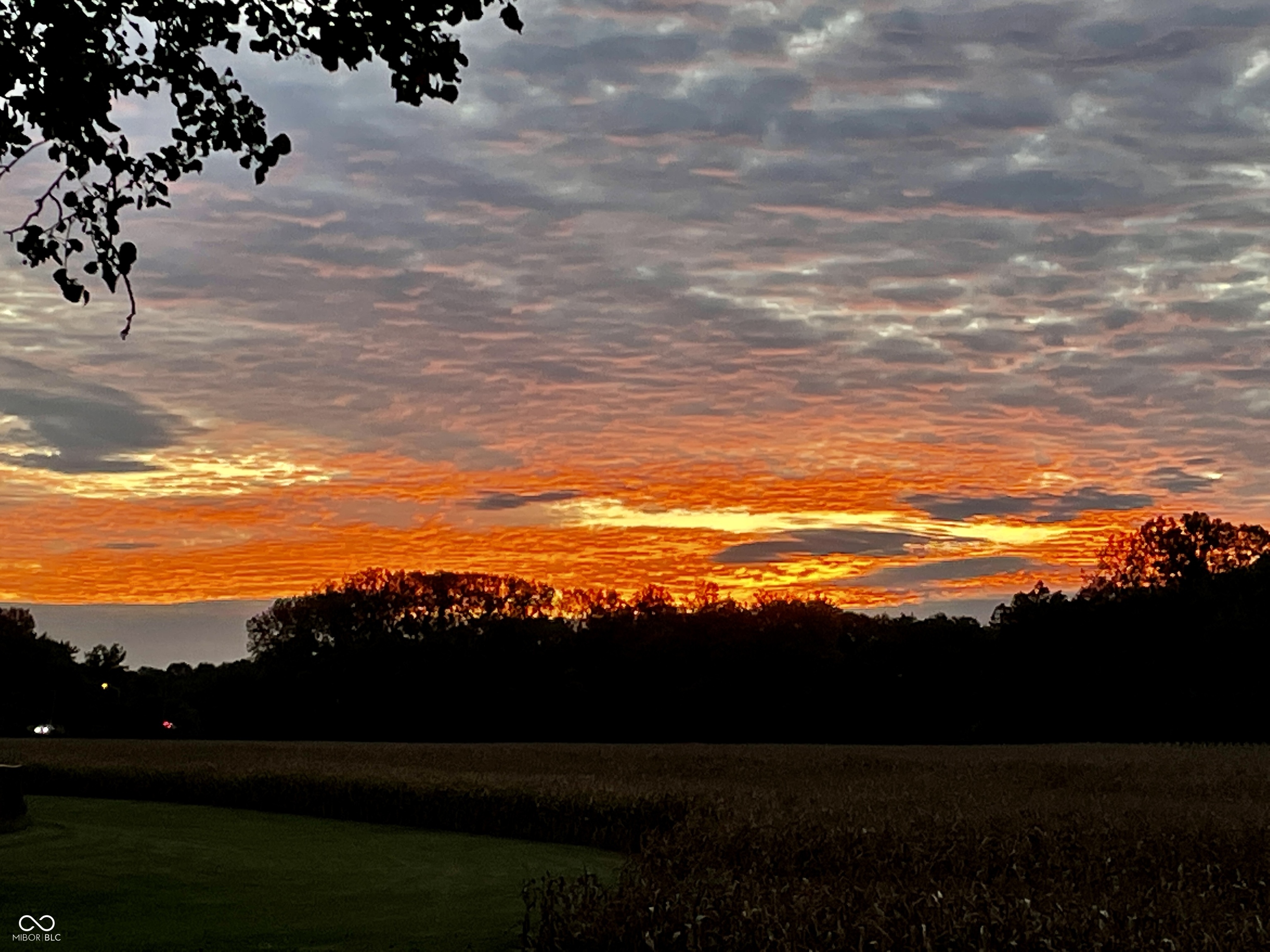 3372 Trestle Drive Columbus, IN 47203 - Photo 32 of 35
