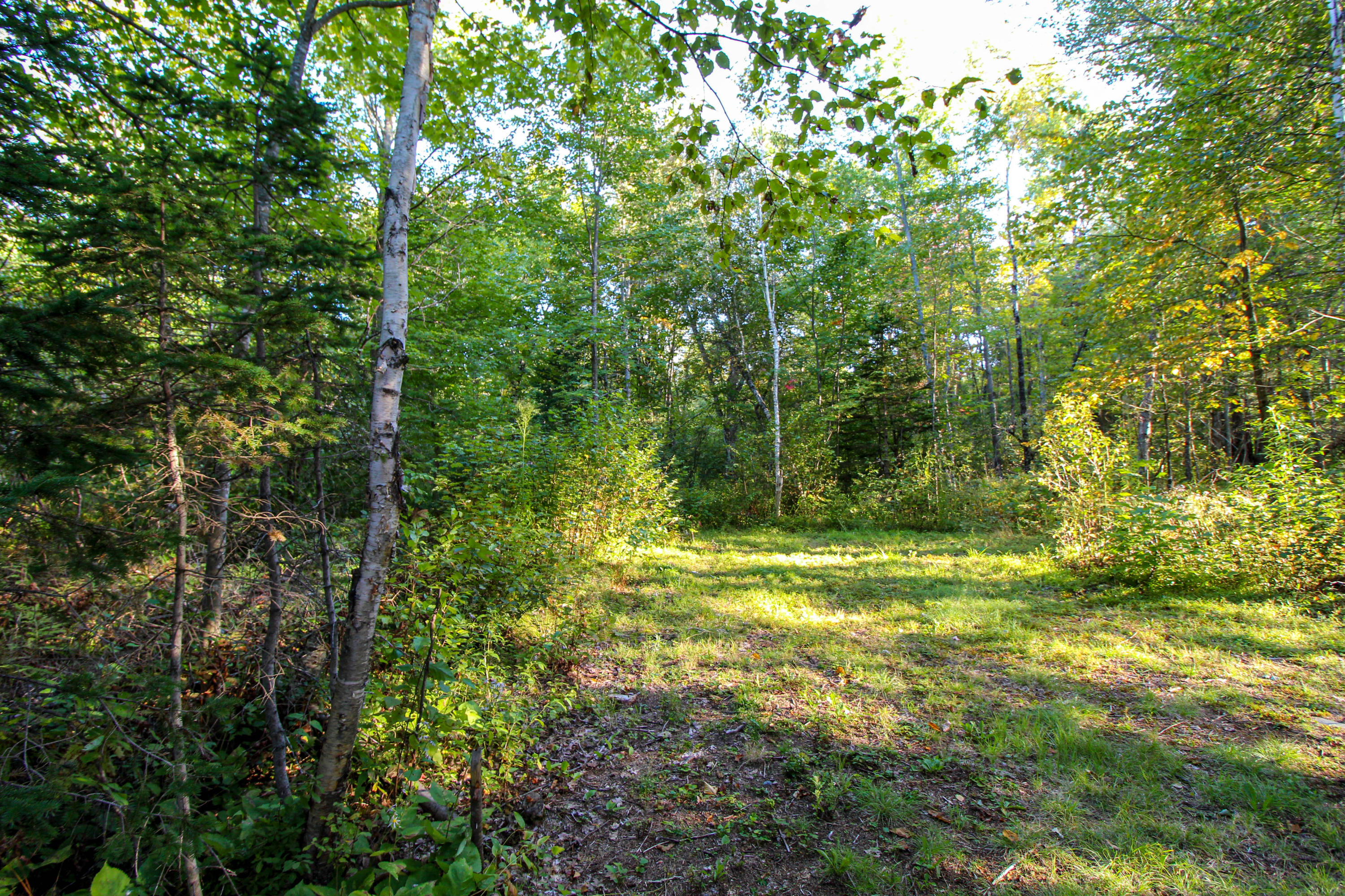 0 Argyle Road Old Town, ME 04468 - Photo 14 of 32 Cleared Area