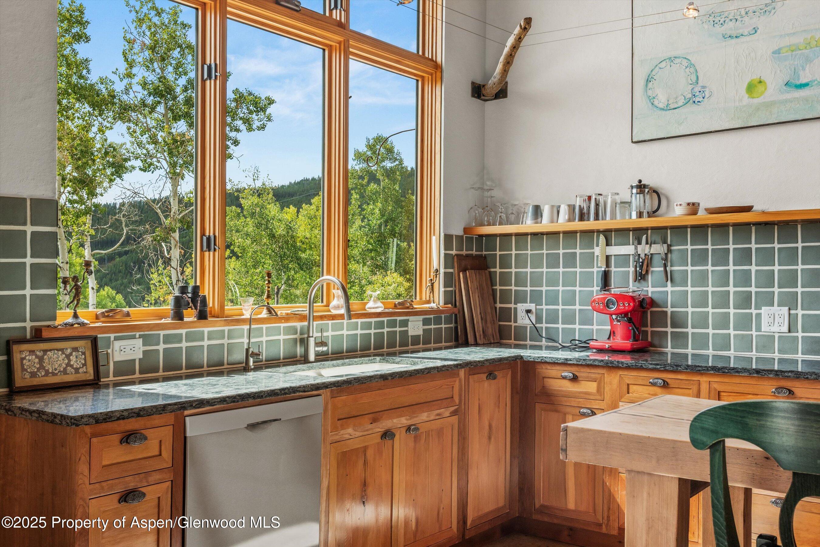 320 Hawk Lane Basalt, CO 81621 - Photo 17 of 36 35-320HawkLn_250915035