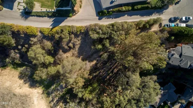 an aerial view of residential houses with outdoor space and trees