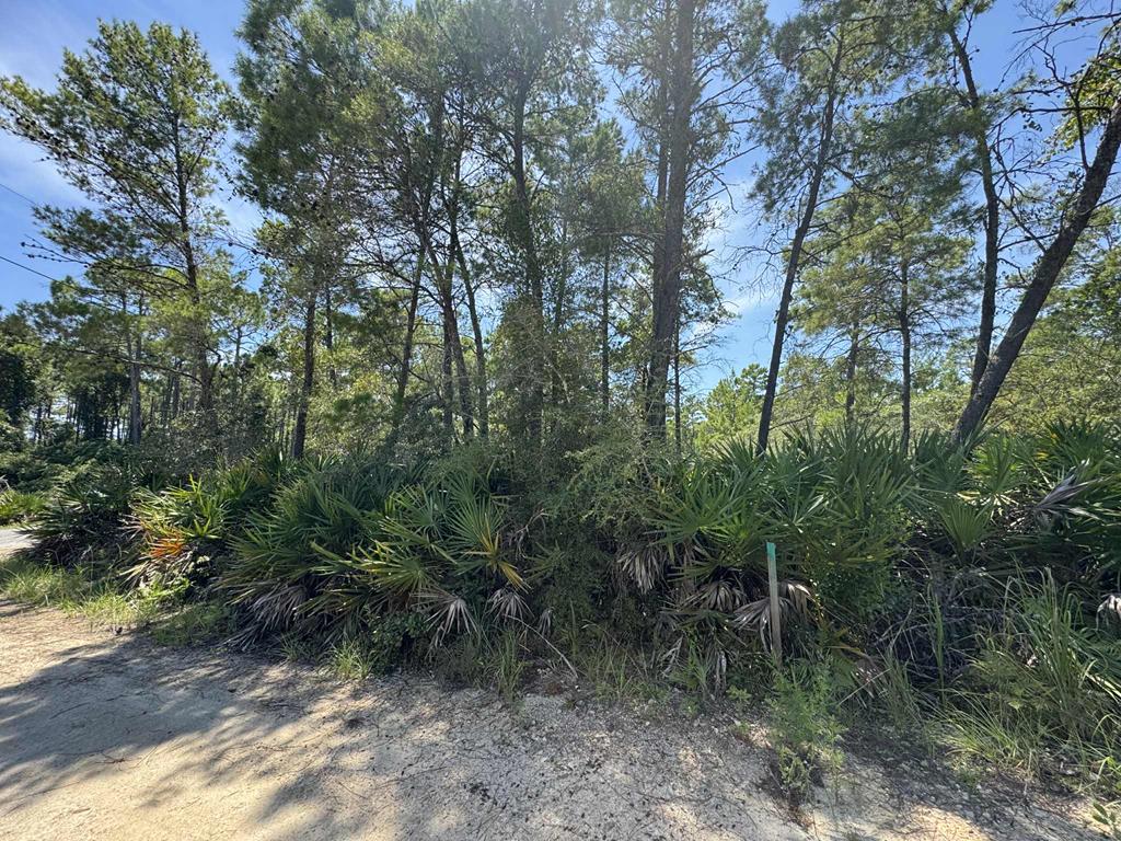 208 Woodill Road Carrabelle, FL 32322 - Photo 7 of 18 Gallery Image 7