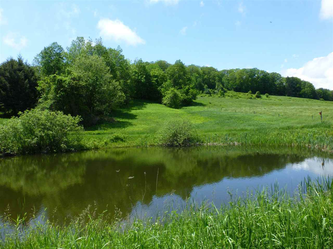 148 Weatherhead Hollow Road Guilford, VT 05301 - Photo 23 of 29