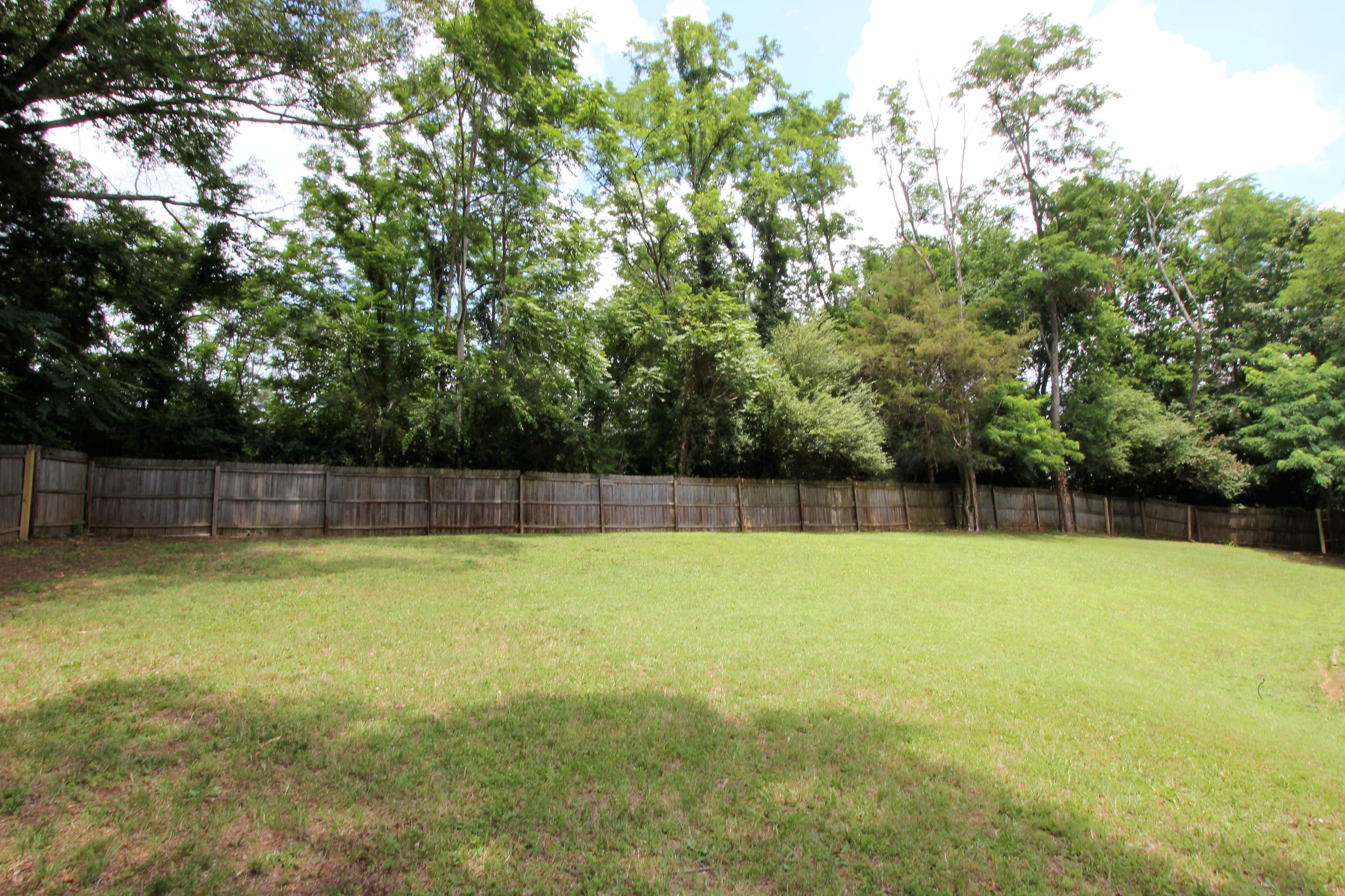 Backyard-2