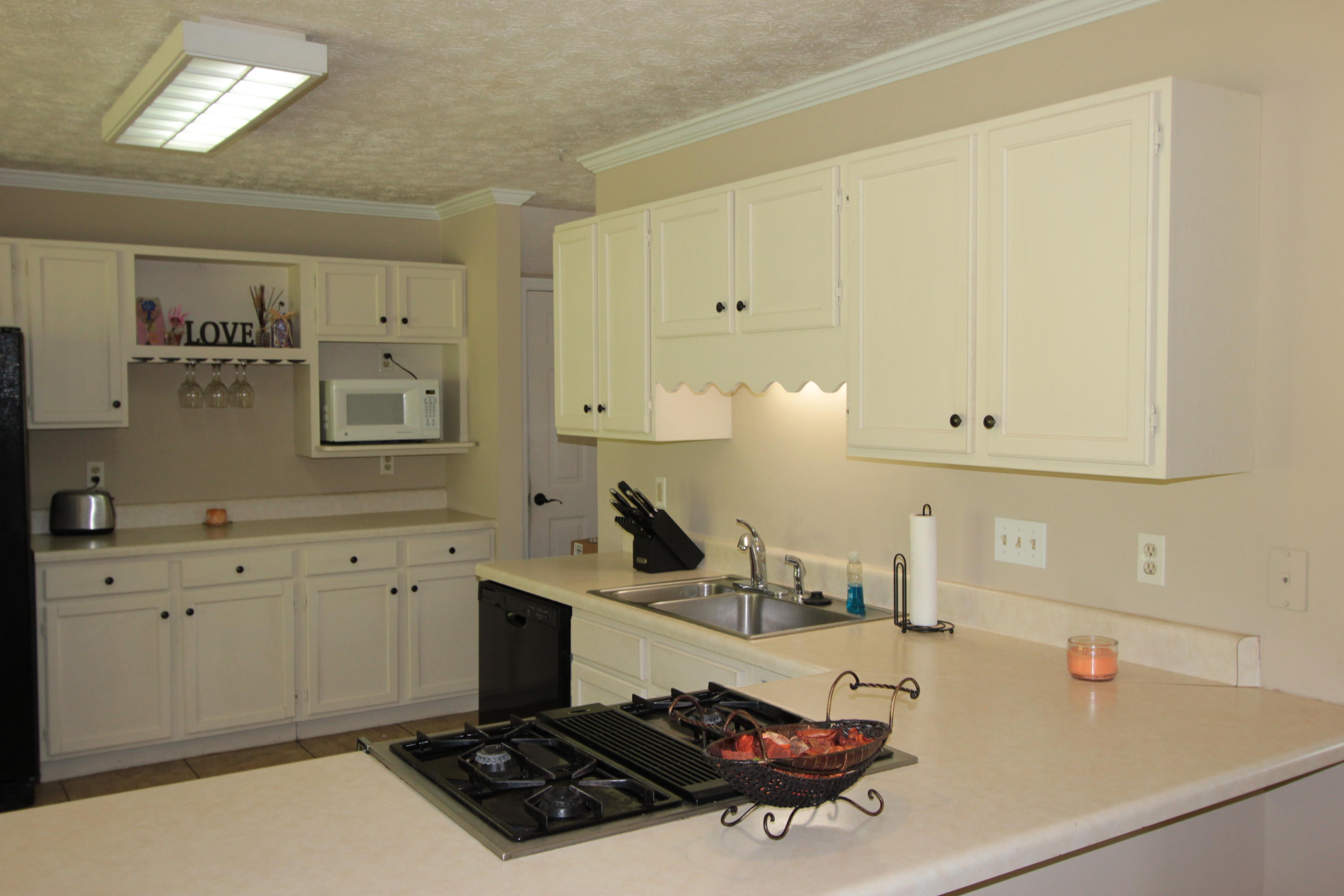 2136 Windbrook Road Knoxville, TN 37923 - Photo 10 of 19 IMG_1347