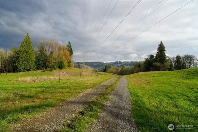 a view of a yard with an trees