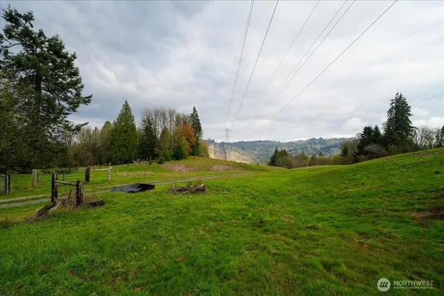 a view of a park with large trees
