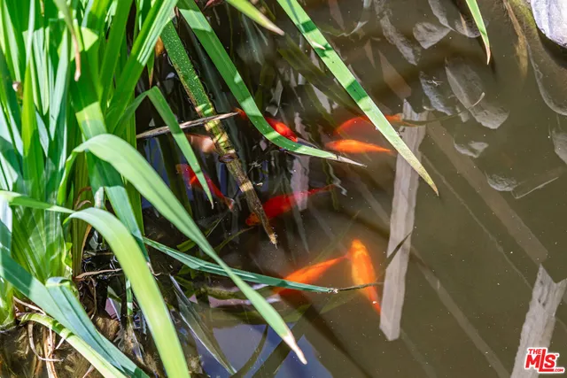 a road view with trees