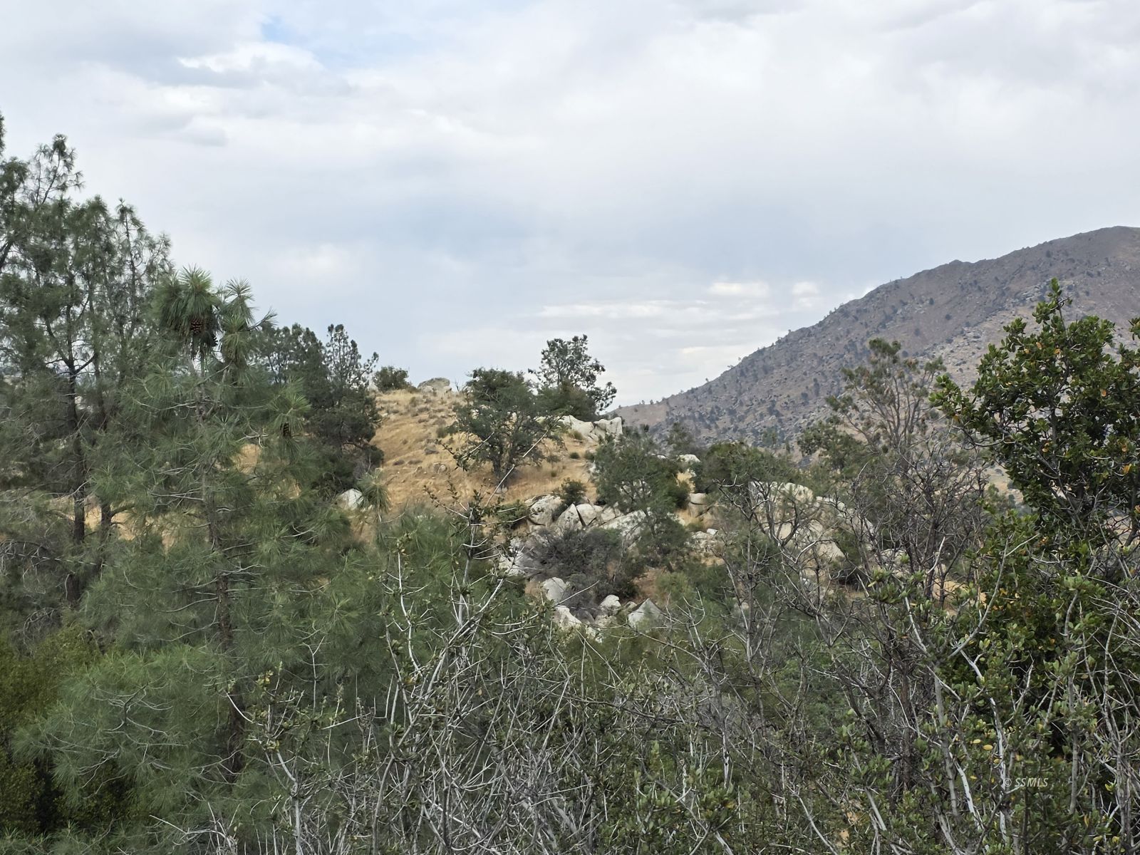 1601 Keysville Road Lake Isabella, CA 93240 - Photo 4 of 14